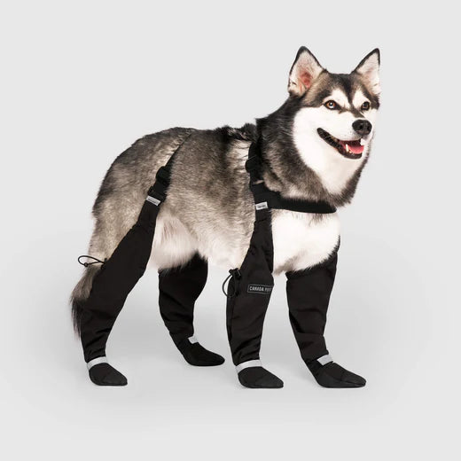 Canada Pooch bottes à bretelles courtes t3