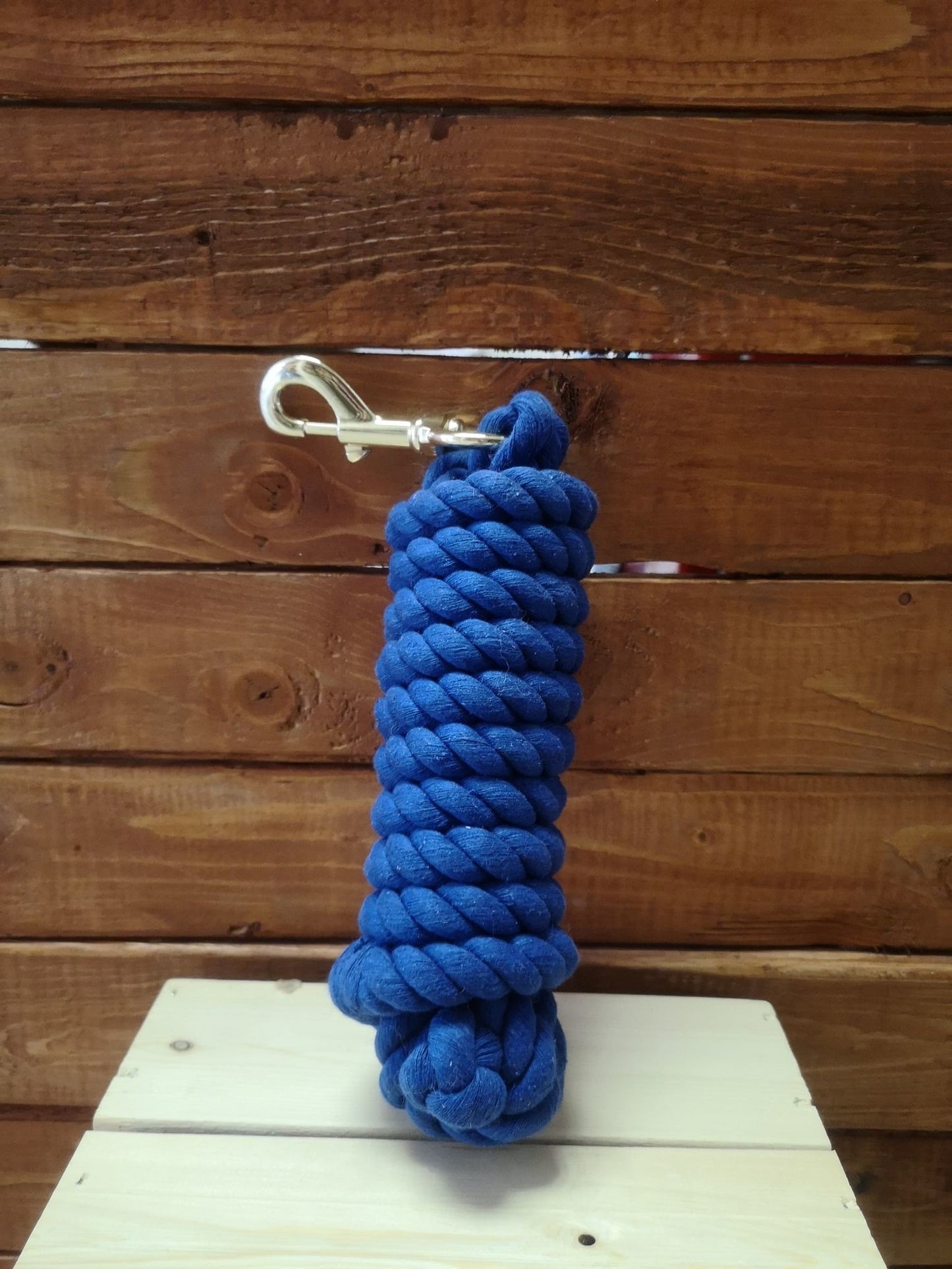 Mustang Laisse coton bleu royal 10