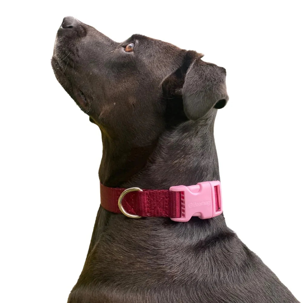 Bugi Collier Nylon Bourgogne & Rose Pâle Moyen