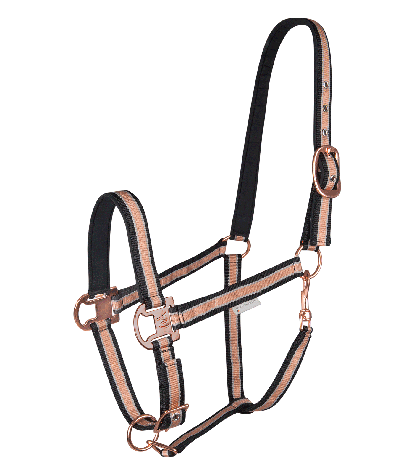 Waldhausen Licou Brillant Rose Moyen