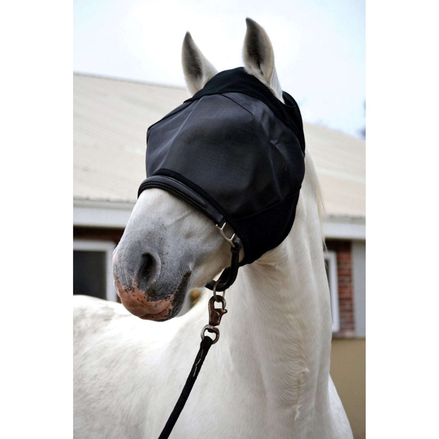 Ultrashield Masque à mouches Cheval sans oreilles
