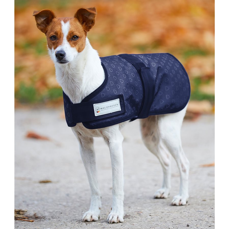 Waldhausen Manteau pour Chien Coeur Argent 25"