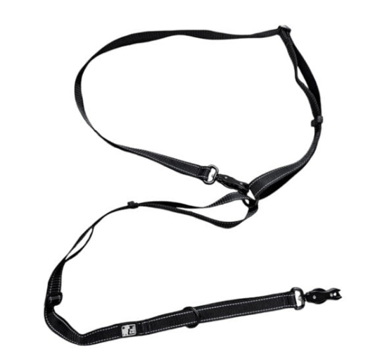 Le chien blanc Laisse multi-usage Storm