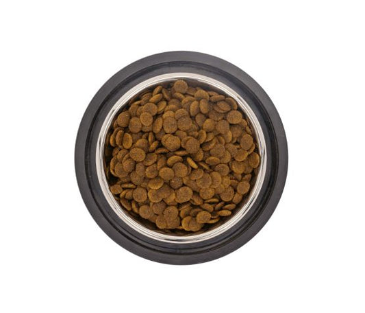 Gabo Nourriture Pour Chien & Chiot, Peau & Pelage, Agneau Et Riz 25lb - Sabots et Museaux