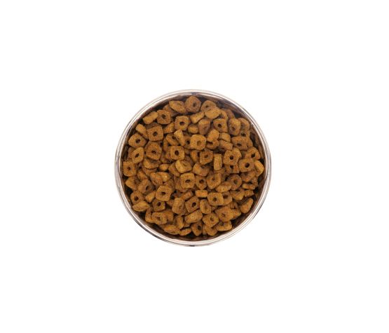 Gabo Nourriture Pour Chat & Chaton, Poulet 6.6lb