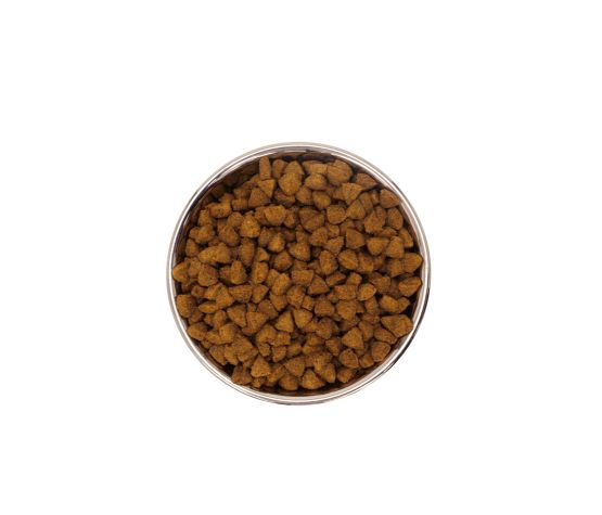 Gabo Nourriture Pour Chat & Chaton, Tout Stade De Vie - Chat D'intérieur, Poulet Et Poisson 15.4lb
