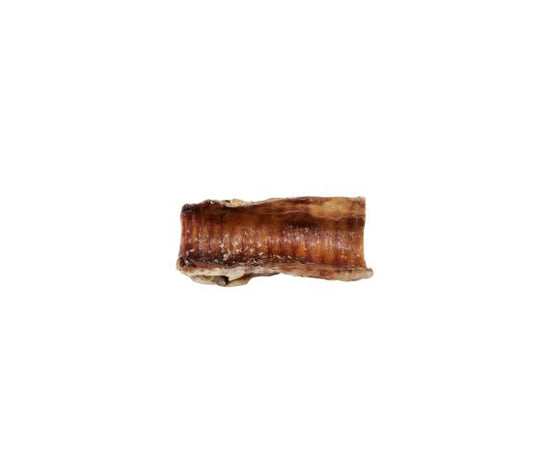 Gabo Trachee de boeuf 5-6" - Sabots et Museaux