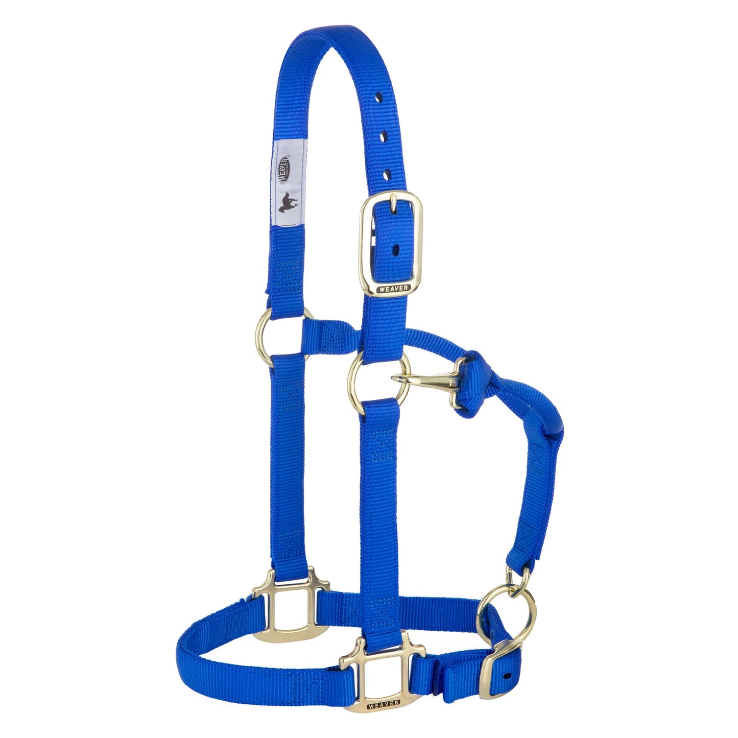 Weaver Licou Nylon 1 pouces original ajustable Bleu Royal, Petit