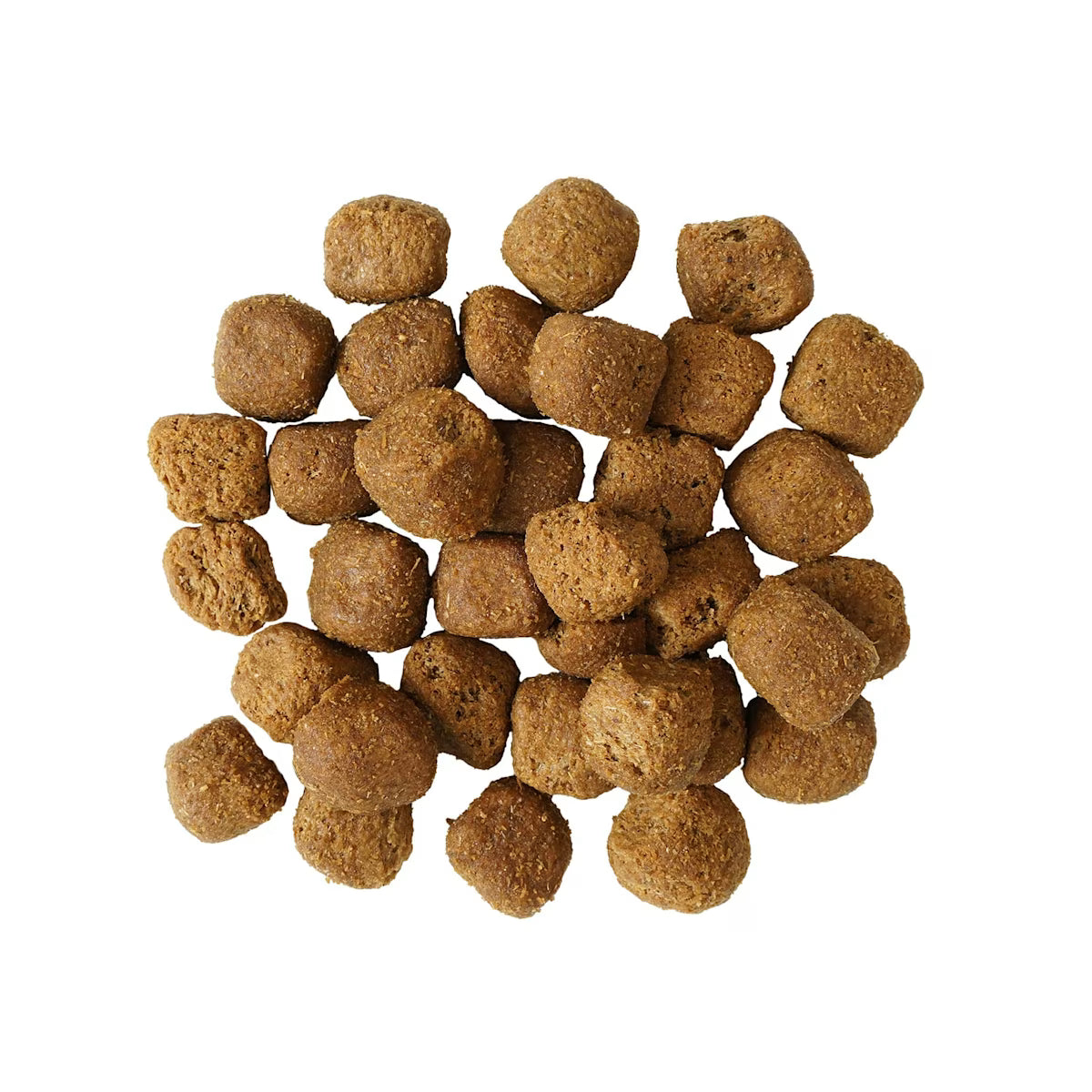 Go Santé Dentaire & Immunitaire Pour Chien Poulet Et Saumon Avec Grains 4lbs - Sabots et Museaux