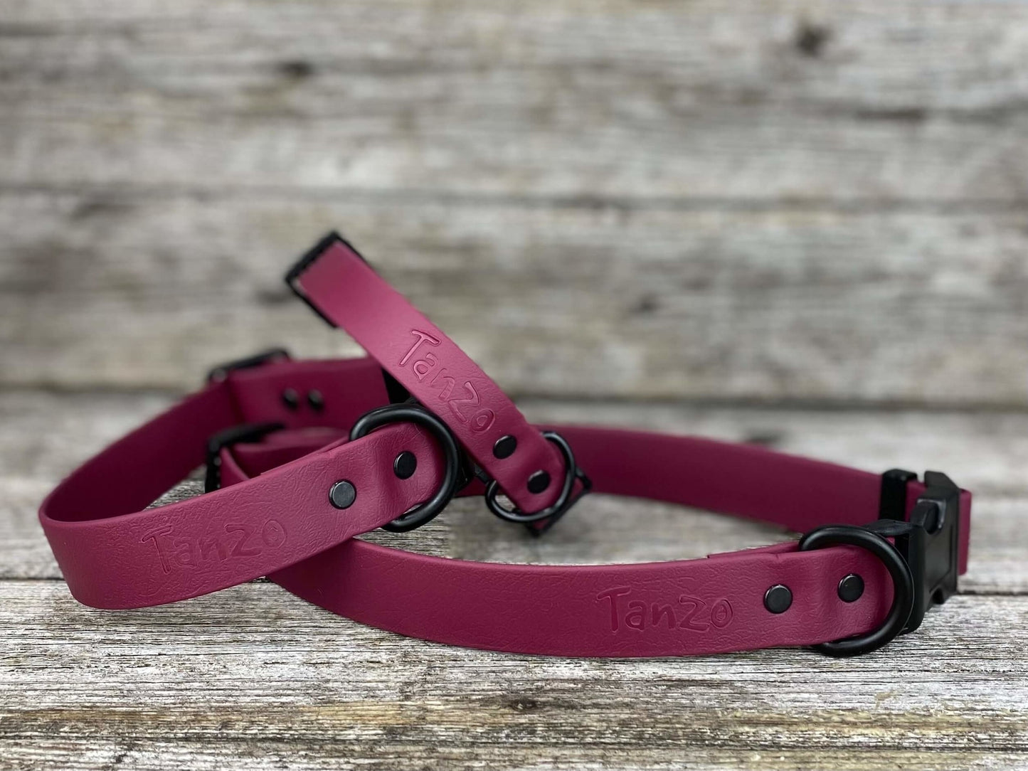 Tanzo Collier Biothane Bourgogne Petit 9,5 à 13 pouces