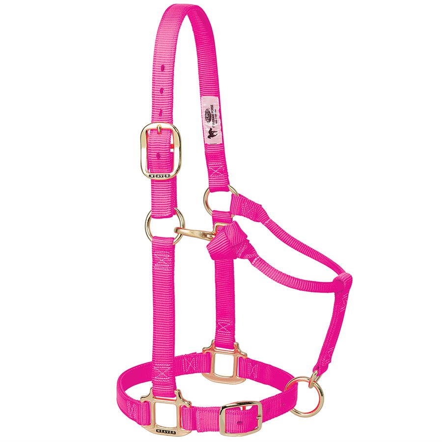 Weaver Licou Nylon 1 pouces original ajustable Rose intense Average