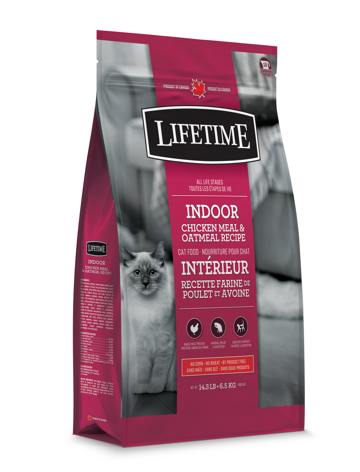 Lifetime Chat D'intérieur 6.5 Kg