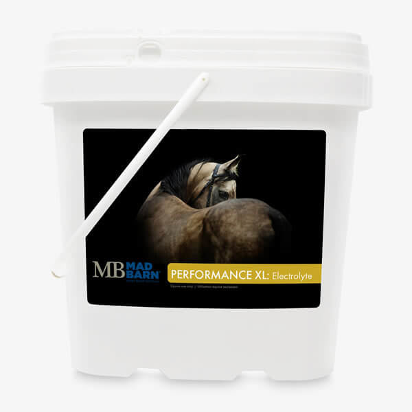 Mad barn performance XL électrolyte 5 kg