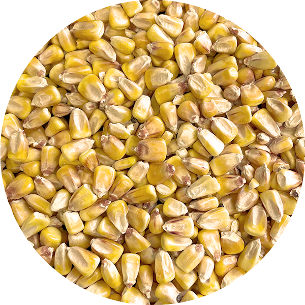 Soucy Mais rond 25 kg