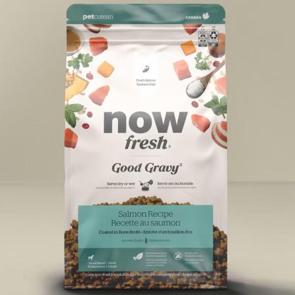 Now Fresh Good Gravy Grains Anciens pour petite race Saumon 3,5 lbs
