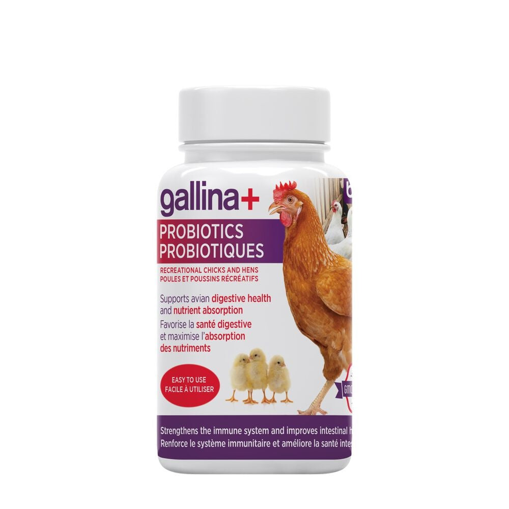 Gallina + Probiotiques