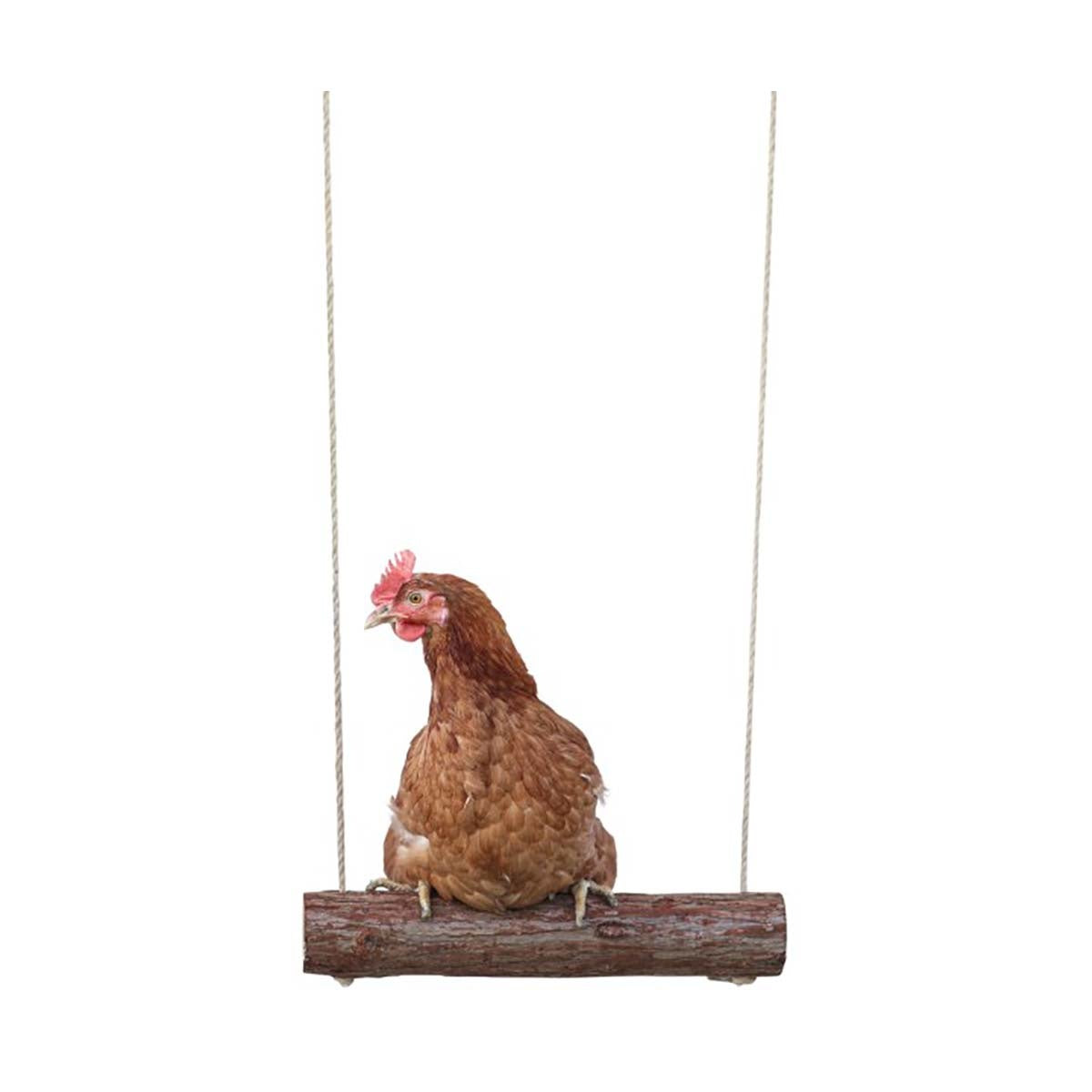 Balançoire à poule - Sabots et Museaux