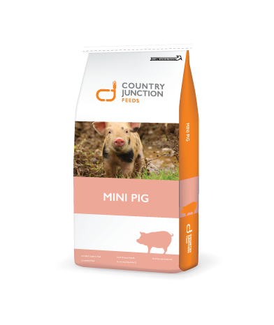 Country Jonction Moulée Mini Cochon maintenance 20 kg