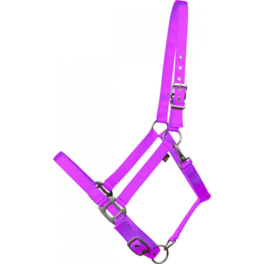 Cavalier Licou de Nylon Poney Rose