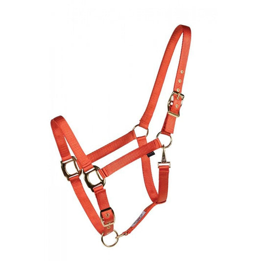 Country Legend Licou Nylon Rouge Moyen