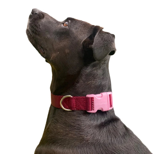 Bugi Collier Nylon Bourgogne & Rose Pâle Grand