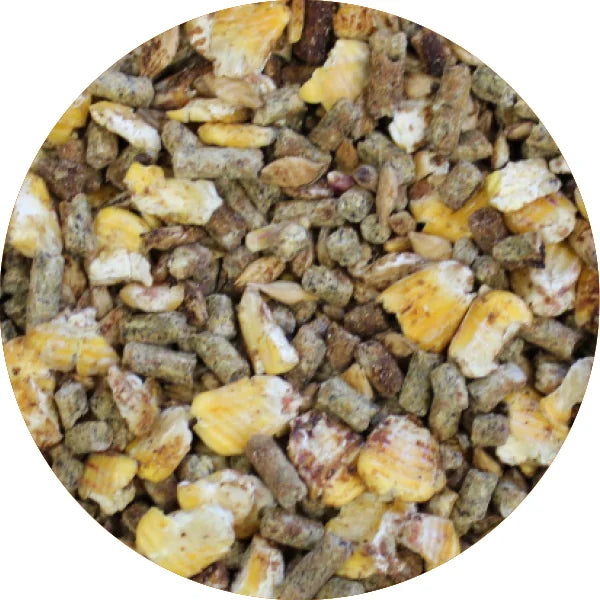 Soucy Moulée croissance minotaure 18% - texturée 25kg