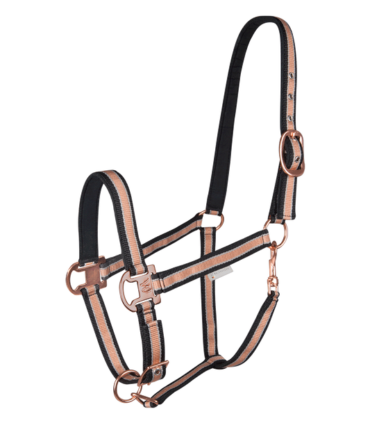 Waldhausen Licou Brillant Rose Moyen