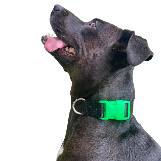 Bugi Collier Nylon Noir & Vert Grand