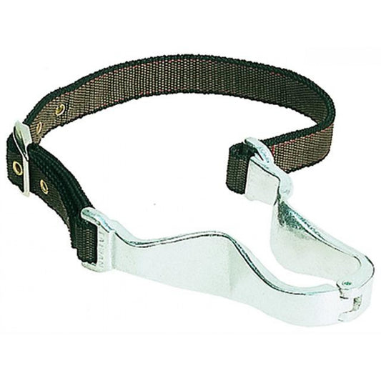 Cavalier Collier Anti Rot