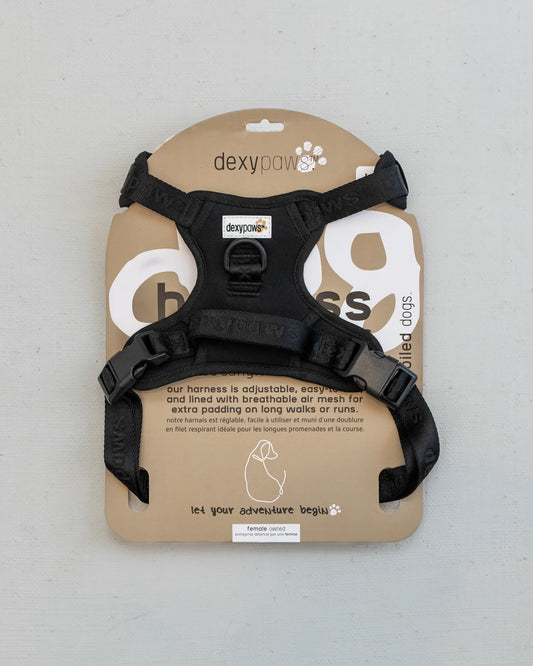 Dexypaws Harnais Sans Traction Noir - Petit
