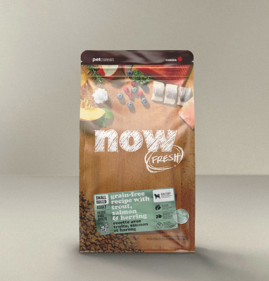 Now Fresh Sans grains Truite, Saumon & Hareng 3,5lbs