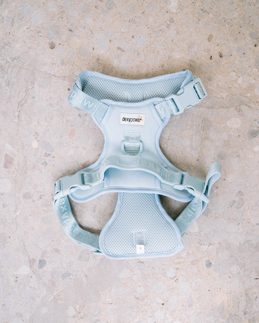 Dexypaws Harnais sans traction Bleu ciel, Grand