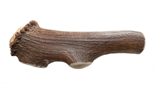 Dentler Bois de Cervidés Goût Nature Sauvage Petit