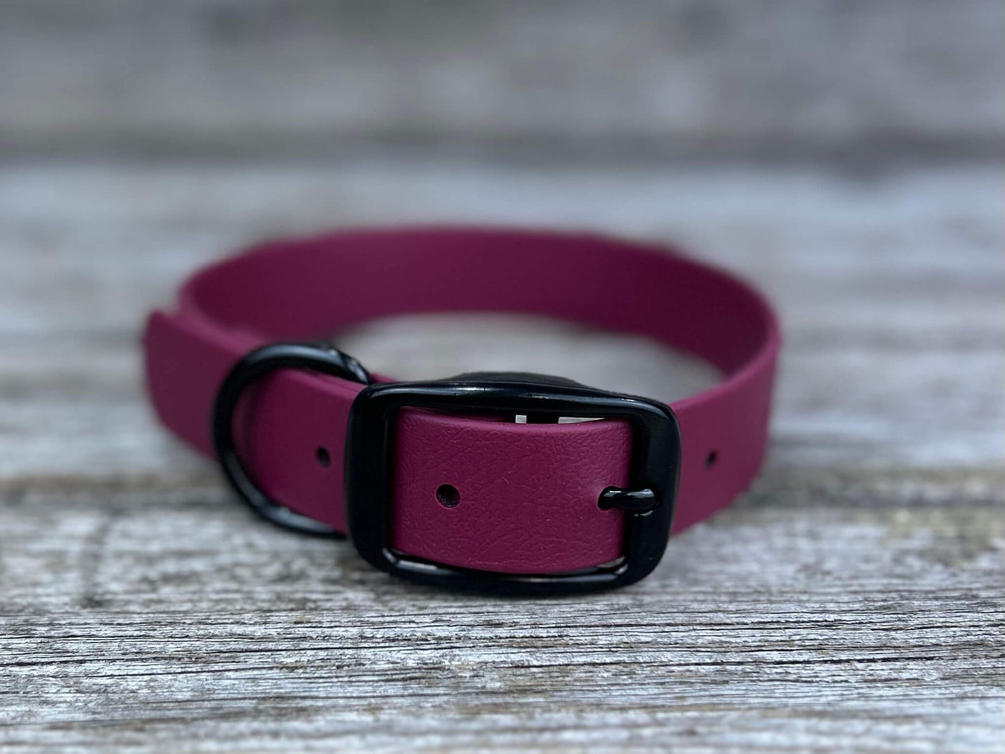 Tanzo Collier Biothane Bourgogne Petit 9.5 à 13 pouces