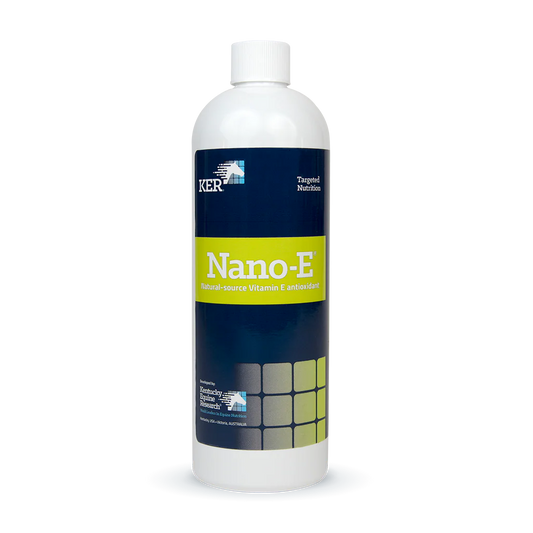 Kar Nano-E 450ml