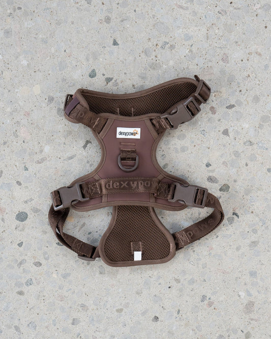 Dexypaws Harnais Sans Traction Espresso Petit