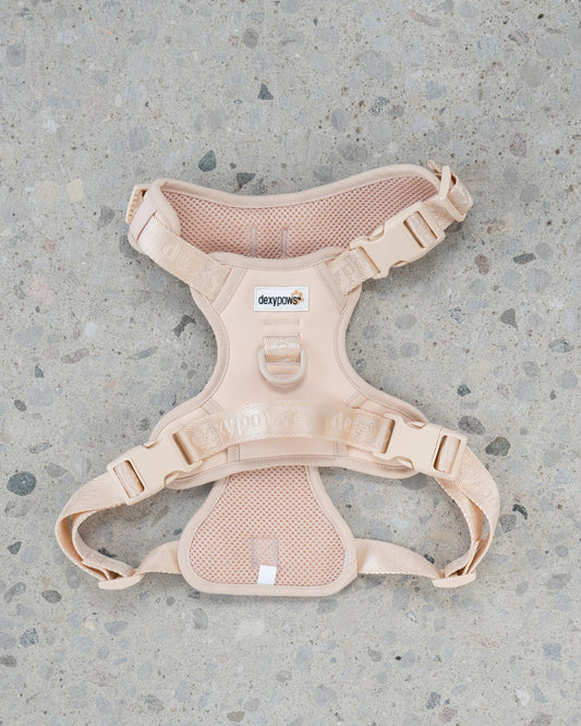 Dexypaws Harnais sans traction Beige, Très petit