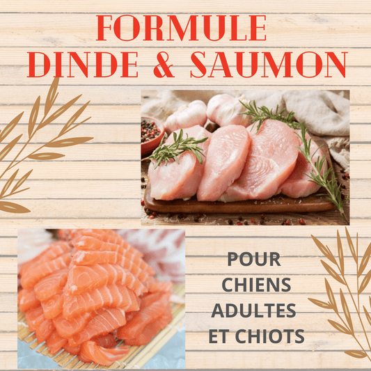 Karbur Dinde & Saumon 10lbs