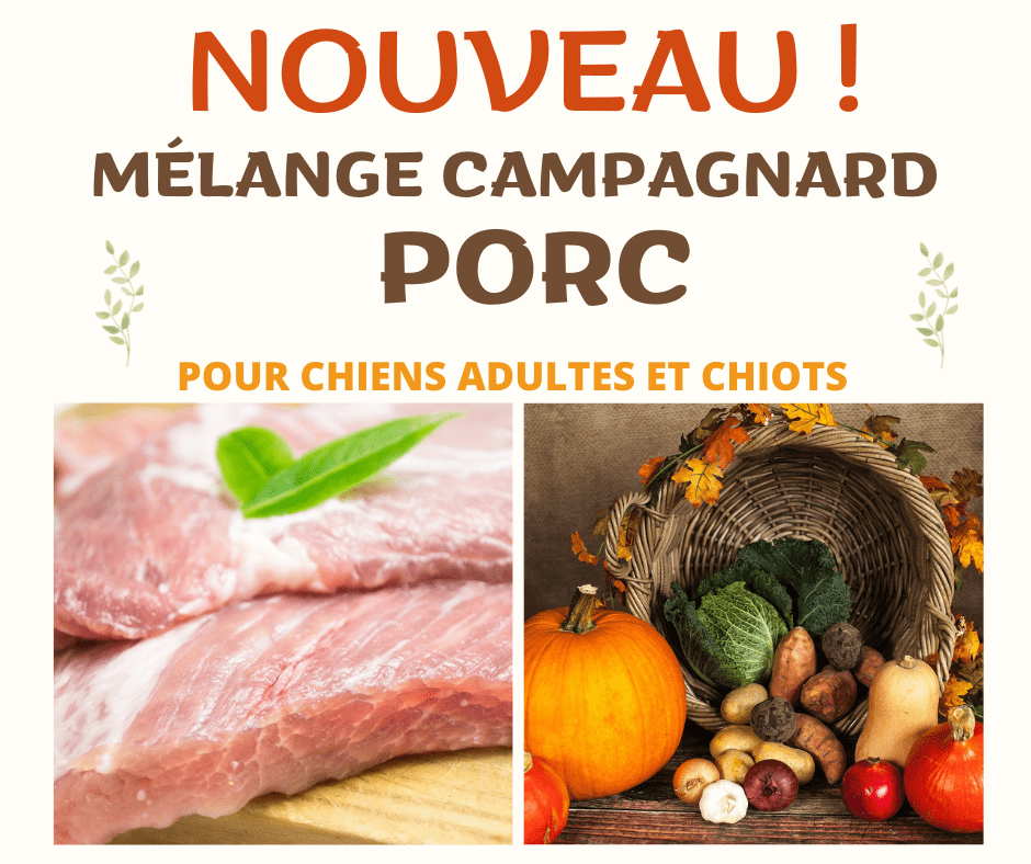 Karbur Porc Campagnard 10lbs