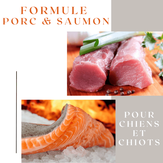 KArbur Porc & Saumon 10lbs