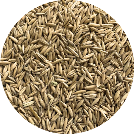 Soucy Avoine Ronde (sur commande)