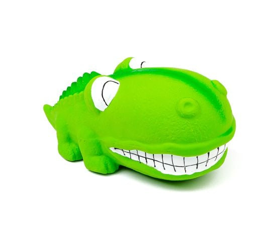 Squeaker gros museau alligator vert