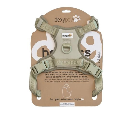 Dexypaws Harnais sans traction Beige, Grand