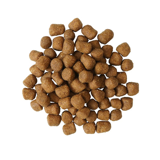 Go Santé Dentaire & Immunitaire Pour Chat Poulet Et Saumon Avec Grains 2.5lbs - Sabots et Museaux