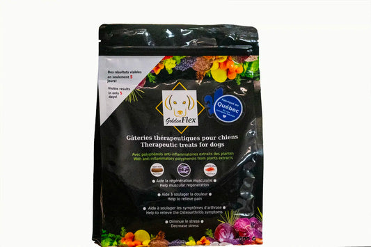Golden Flex Gateries Anti-inflammatoire Naturel Au Saumon 500g