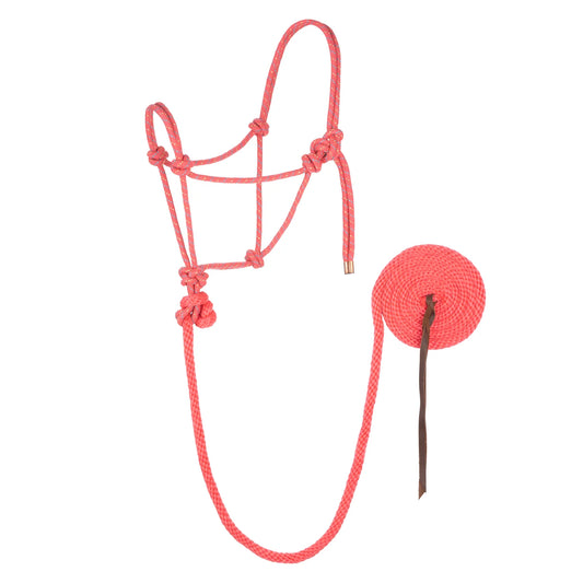 Weaver Licou en corde avec laisse Rose/Or/Turquoise