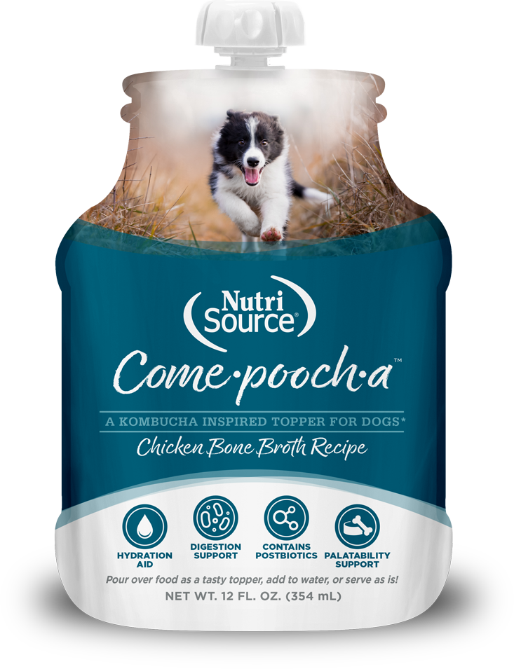 Come-pooch-a bouillon poulet 354 ml