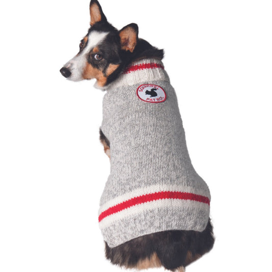 Chilly Dog Manteau Squirrel Patrol