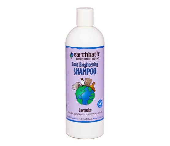 Earthbath Shampoing pelage clair Lavande chien