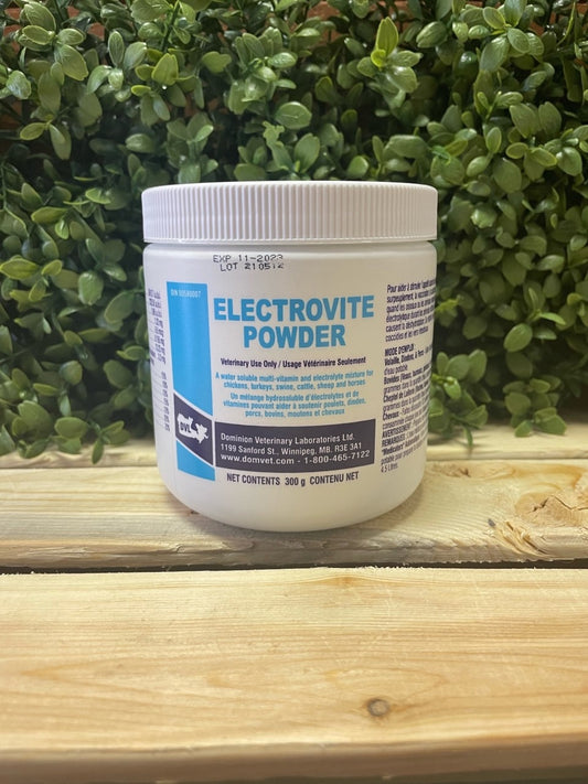 Poudre Électrovite 300 g